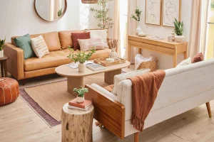 compact-sofa-layout-in-a-small-living-room-apartment
