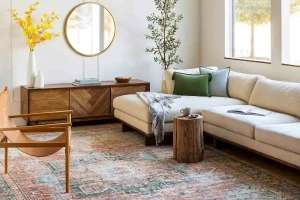 area-rug-anchoring-furniture-layout-in-a-small-living-room.