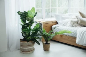 bedroom with negative space creating a calm and refined environment